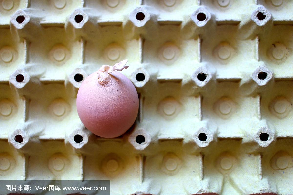 最新卵蛋，，，，科技、生态与未来的融合交汇点