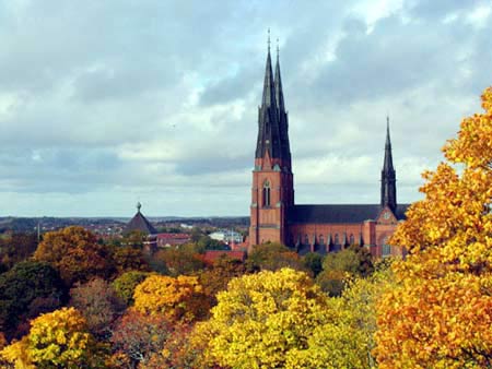 瑞典最新生长动态，，，，探索与立异的前沿