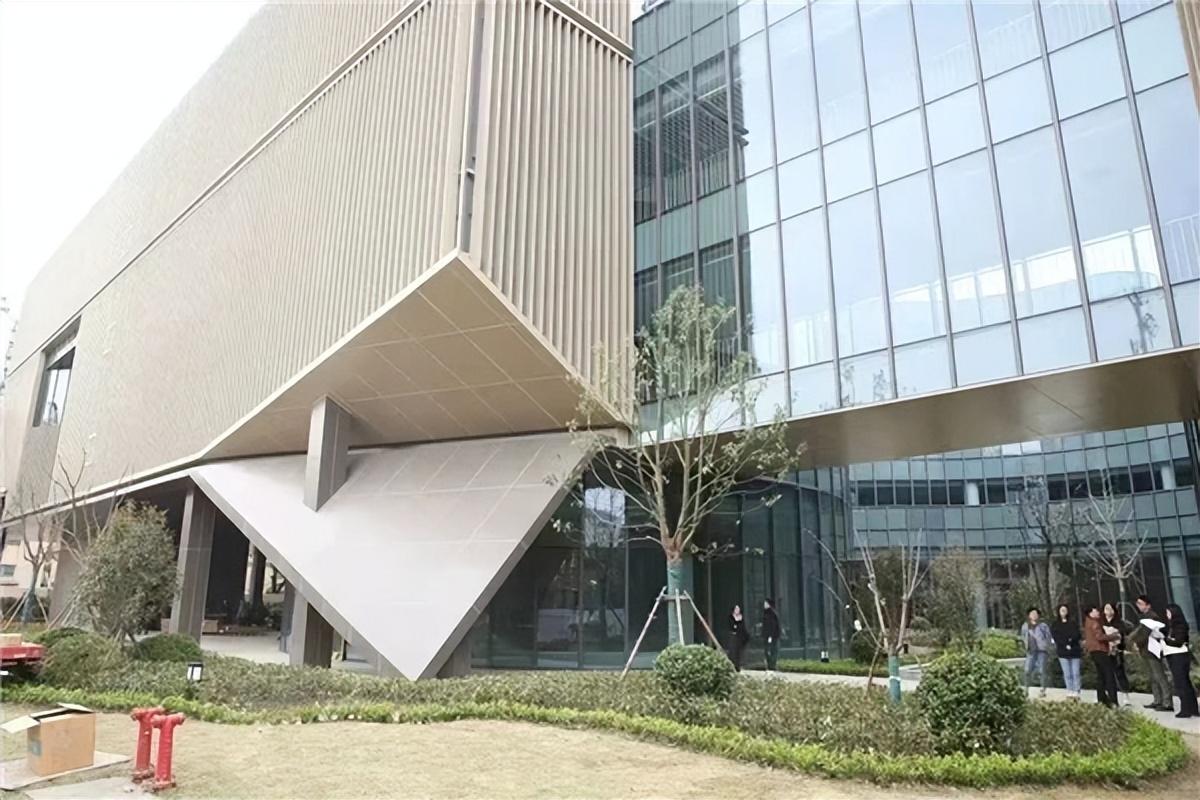 江川县图书馆最新项目，，，，推动文化昌盛与社区生长的融合共进